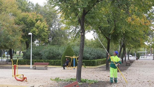 Según el estudio, en Parques y Jardines habría un ahorro de 668.000 euros