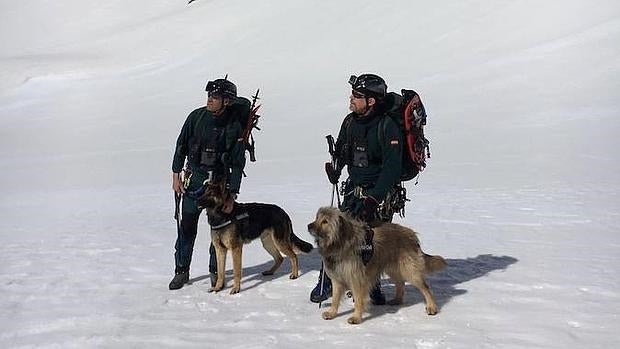 Dos especialistas de montaña de la Guardia Civil, durante los rastreos