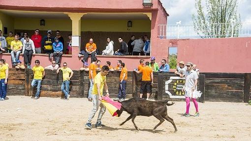 Las capeas, otro clásico de las despedidas