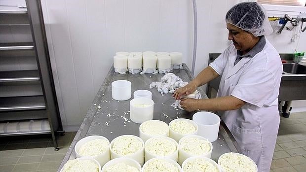 Servicios de restauración, industrias agroalimentarias y explotaciones ganaderas son algunos de los sectores que se verán beneficiados por la medida