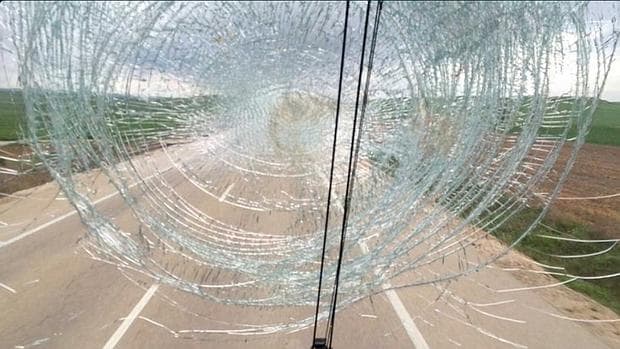 Un buitre destroza el parabrisas de un autobús de seguidores del Osasuna de camino a Alcorcón