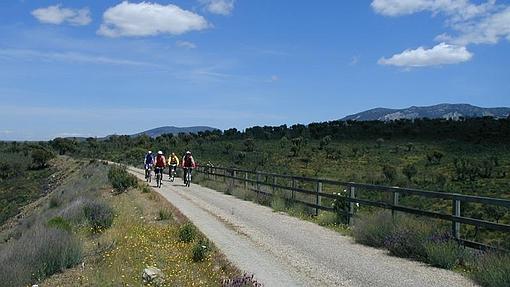 Ciclistas por la Vía Verde la Jara