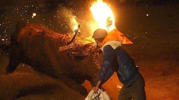 Otras ancestrales tradiciones con animales polémicas que aún se mantienen