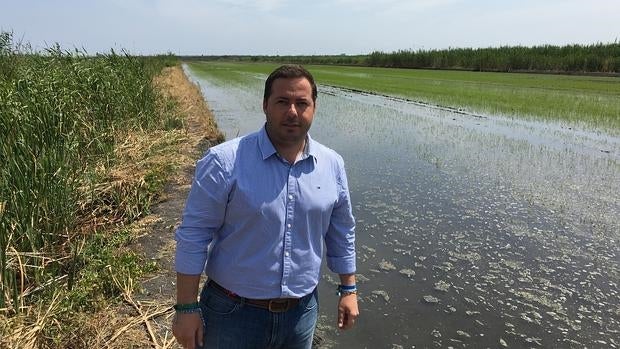 El senador Agustín Almodóvar, en el Parque Natural del Marjal de Pego