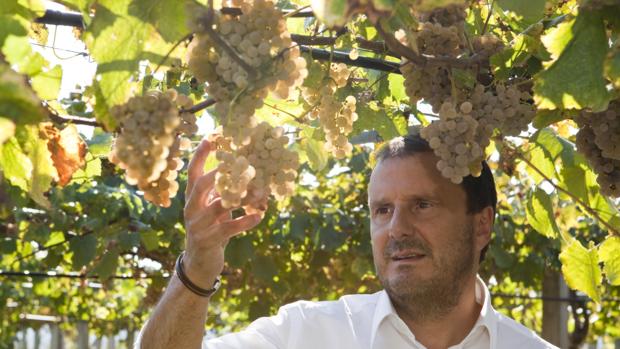 Juan Vázquez Gancedo, director de las Bodegas Martín Códax