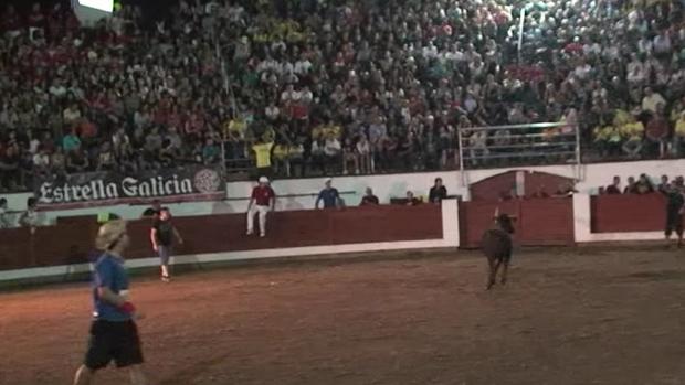 Uno de los correbous celebrados en Olot