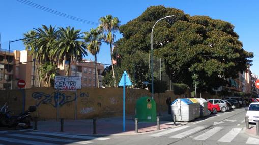 Vista del solar con el ficus que impidió el proyecto original