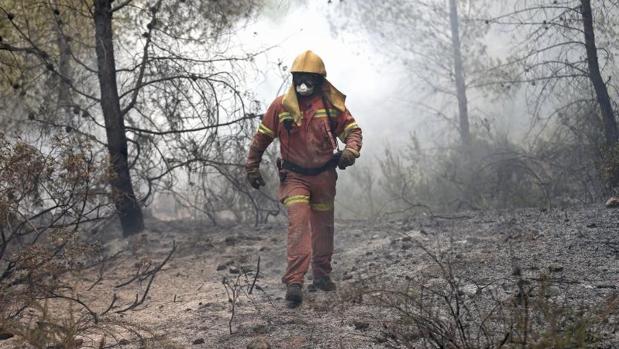 Buscan al autor de cinco incendios intencionados en Ribarroja que ya han sido extinguidos