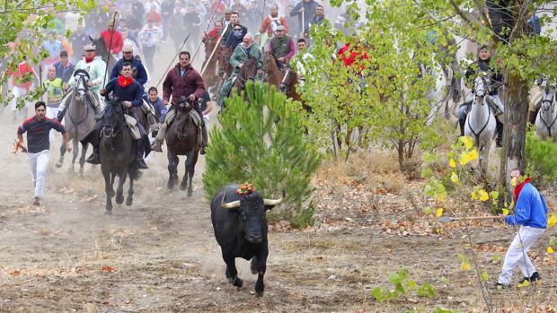 Celebración del Toro de la Vega