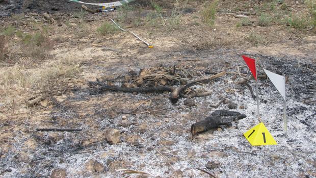 Punto en el que se originó el incendio forestal, según las investigaciones de la Guardia Civil