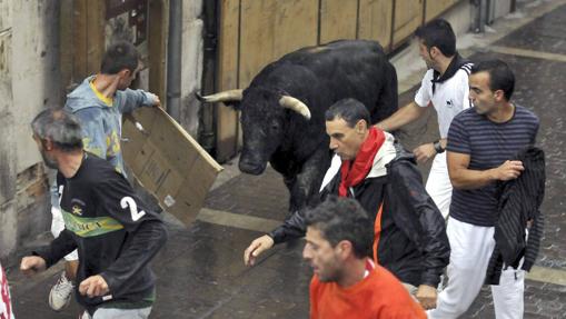 Encierros tradicionales de Cuéllar