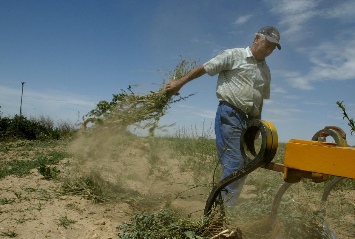 El envejecimiento es un problema creciente en el sector agropecuario aragonés