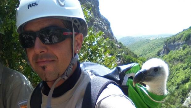 Aparatoso rescate de un buitre leonado que quedó atrapado en un barranco