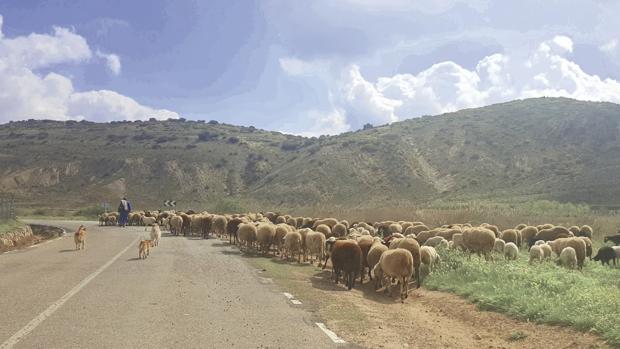 Carretera de Moya a Landete