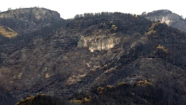 Zona afectada por el incendio de Artana de esta semana