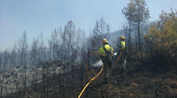 Los bomberos refrescan la zona afectada por el incendio de Mariola