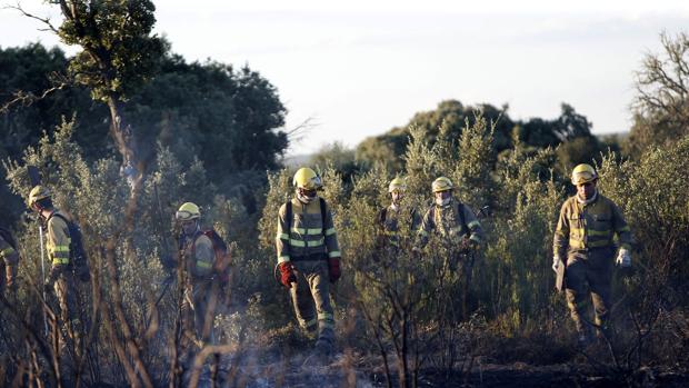 La superficie calcinada en julio no llega a la mitad de la que se quemó hace un año