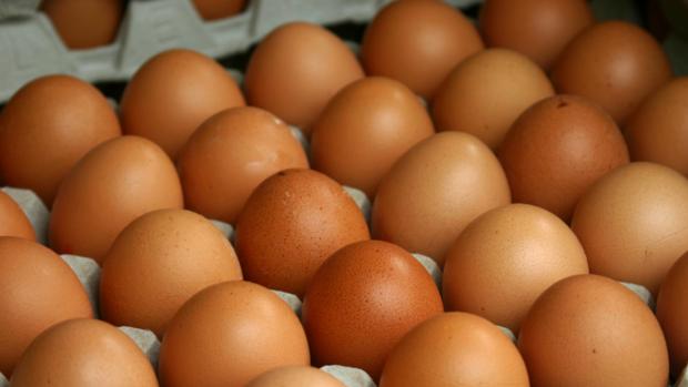 La Salmonella puede estar presente en la cáscara o en el propio huevo