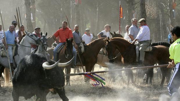 El Consultivo avala el decreto que prohíbe la muerte del Toro de la Vega