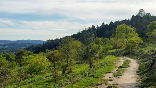 Sendero cerca de Santiago de Compostela,