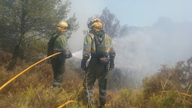 Bomberos durante las tareas de extinción en Torremanzanas.