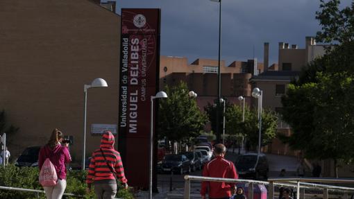 Los campus universitarios y los patios de los colegios «descansan» durante el verano