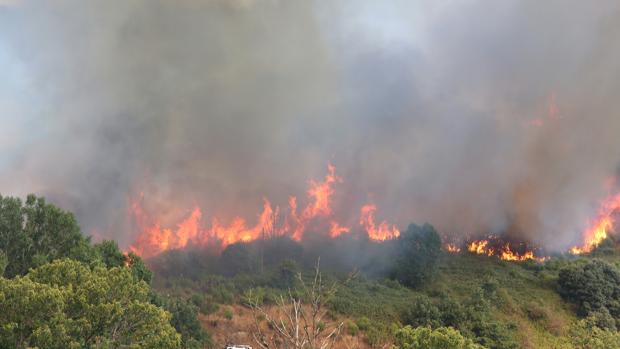 El fuego fue protagonista en el municipio leones de Toreno, otra vez como consecuencia de la acción del hombre