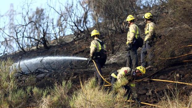 Incendio el pasado julio en Collserola