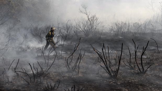 Estabilizado el fuego en Melón y controlados en Trives, Cervantes, Arbo y Crecente