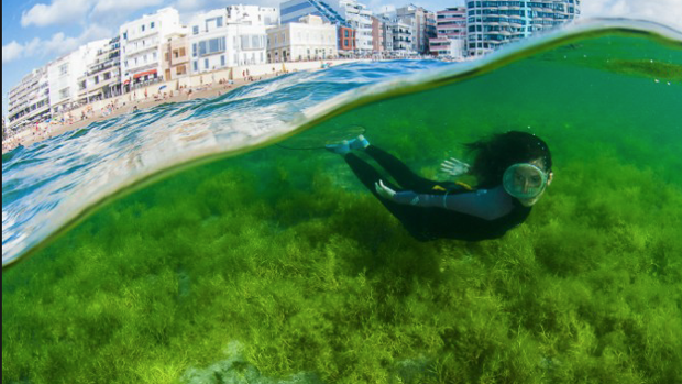 Una foto de la prueba que se realiza en Playa Chica, Las Canteras