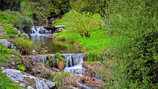 Río Arnoia a su paso por la Sierra de San Mamede