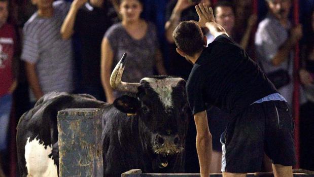 Imagen de archivo de las fiestas de «bous al carrer»