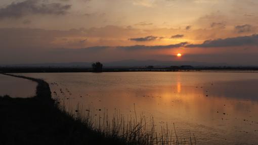 El crepúsculo de La Albufera