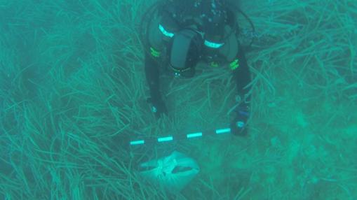 Otro de los hatos localizado bajo el agua.