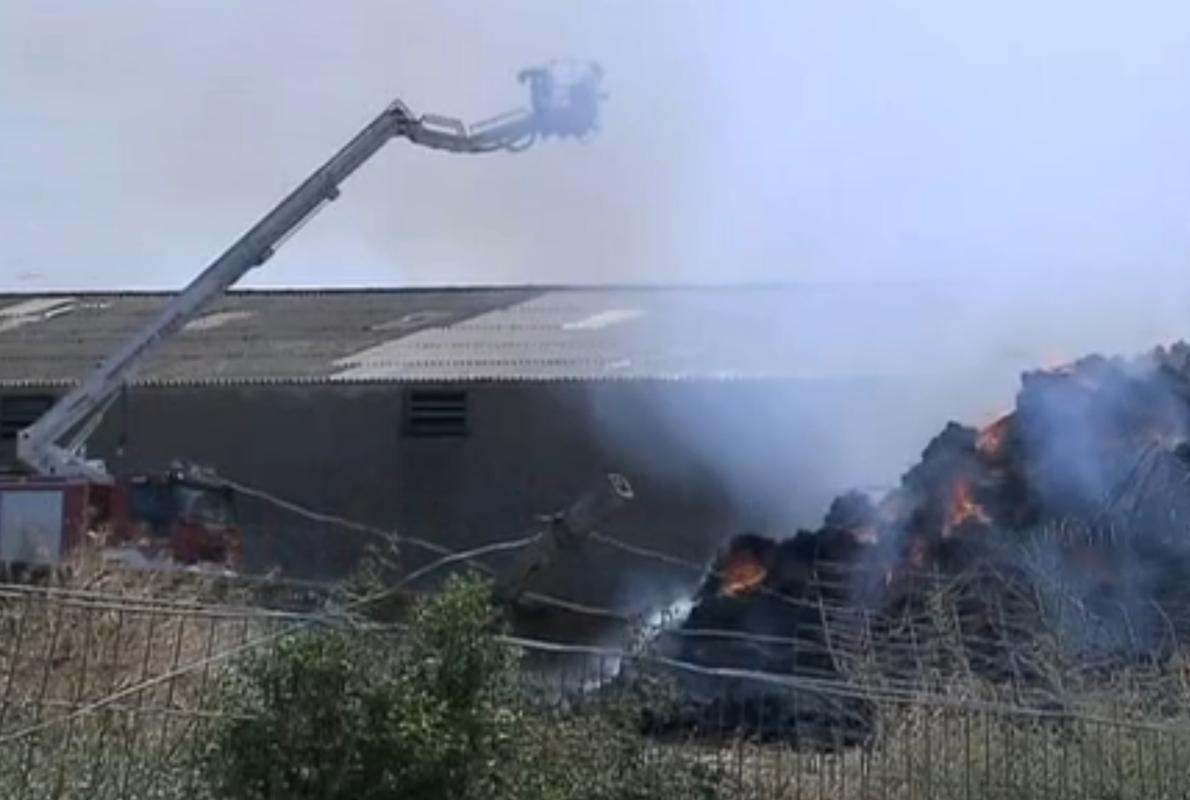 El incendio no ha afectado a los miles de animales que tiene esta granja de Tauste (Zaragoza)