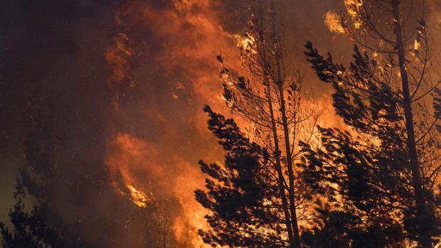 Imagen del incendio declarado en el municipio de A Fonsagrada