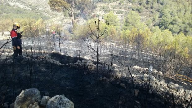 Zona afectada por el último incendio, declarado en Llíber