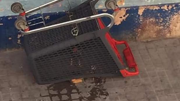 Imagen de un gallo de pelea muerto aplastado por un carro de la compra en la travesía Pescadores