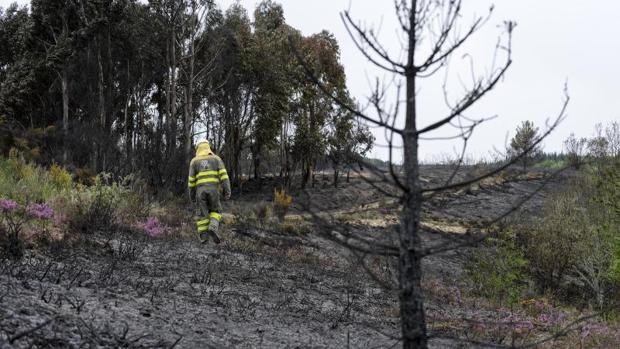 Un brigadista, ante el paisaje arrasado este verano en Galicia