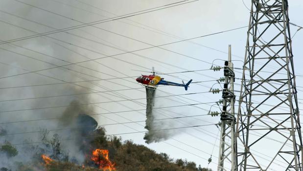 El fuego se ha originado en una zona boscosa del término municipal de Esplugues de Llobregat