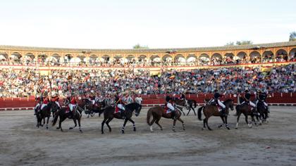 Exhicbición de caballos en la plaza de toros