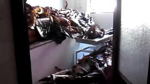 Cadáveres hacinados en el depósito de la Universidad Complutense