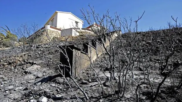 Terrenos calcinados por el incendio en Jávea