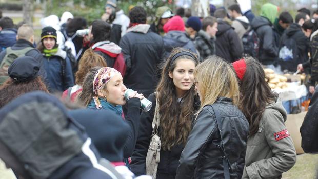 Grupo de universitarios bebiendo alcohol