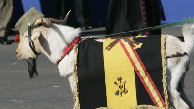 «Pepe», en un desfile de las Fuerzas Armadas, junto a La Legión