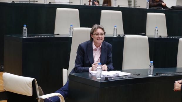 Marta Higueras, durante un pleno del Ayuntamiento