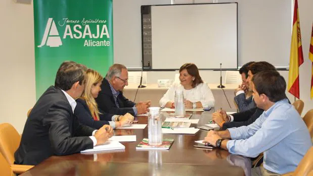 Reunión de representantes de Asaja y del PP de la Comunidad Valenciana en Alicante