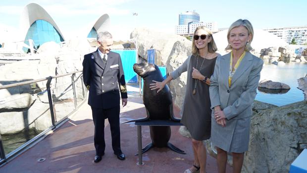 El Oceanogràfic impulsa junto al Ejército un nuevo proyecto de rescate con leones marinos