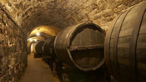 Paseo por bodegas centenarias