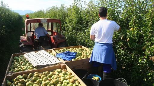 Los «siete pecados capitales» del Bierzo